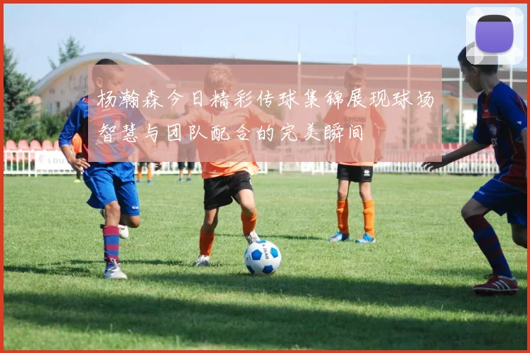 杨瀚森今日精彩传球集锦展现球场智慧与团队配合的完美瞬间