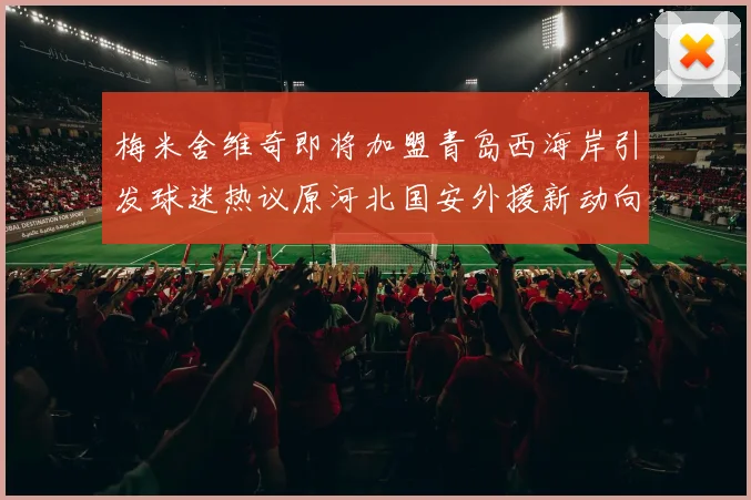 梅米舍维奇即将加盟青岛西海岸引发球迷热议原河北国安外援新动向